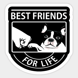 Boston Terrier Best Friend For Life Sticker